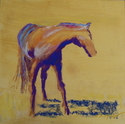 Bay%20horse (thumbnail)