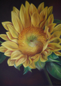 %22Portrait%20of%20a%20Sunflower%22 (thumbnail)