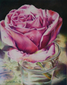 Salvaged (thumbnail)