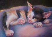 Cat%20Nap%20II (thumbnail)