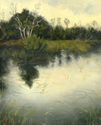 Palmetto%20Island%20Wilderness (thumbnail)
