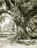 Slowly%2C%20into%20Glory%20%28Drawing%29 (thumbnail)