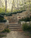 Stone%20Steps%20%28Country%20Park%29 (thumbnail)