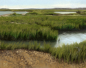 August%20Inlet (thumbnail)