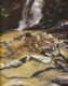 Painting-Rocks at Lower Cascade