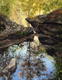 Painting--Oil-LandscapeCopper Reflected