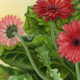 Painting-Youth (Gerbera Daisies 1)