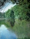 Painting--Pastels-LandscapeCedars, Reflections