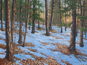 Look%20Through%20the%20Trees (thumbnail)