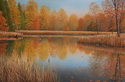 Autumn%20Arrivals (thumbnail)