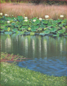 Painting-Summer Whites
