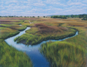 Painting--Oil-LandscapeSpring Morning on the Marsh