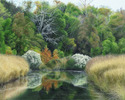 Painting--Oil-LandscapeReflecting on Caw Caw