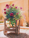 Painting--Oil-FloralFlowercart with Mismatched Leg