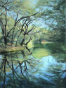Print Making--LandscapeMirrored Oaks