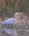 Painting--Oil-Wildlife