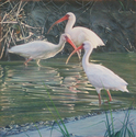 Painting--Oil-Wildlife