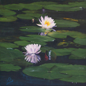 Painting--Oil-PhotorealismBlackwater Illusion