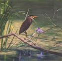 Painting--OilThe Watcher