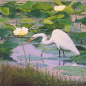 Painting--Oil-Wildlife