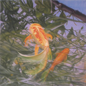 Painting--Oil-Wildlife