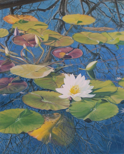 Print Making-Photorealism-Golden Eyed Nymph