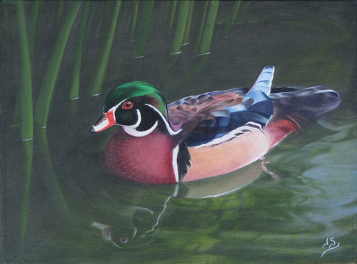 Painting-Wildlife-