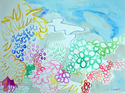 Barrier%20Reef (thumbnail)