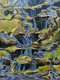Painting--Acrylic-ExpressionistFalling Waters