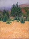 Painting--Pastels-ImpressionismRedwood Grove (study)
