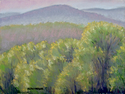 Painting--Pastels-ImpressionismMayday 2009 (study)