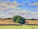 Painting--Pastels-ExpressionistOctober Skies