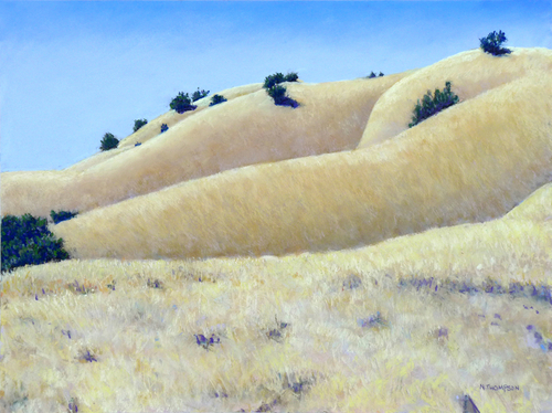 Painting-Expressionist-Tamalpais Afternoon