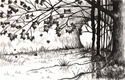 In The Distance (Print)