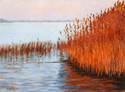 Ratzeburg%20Reeds1 (thumbnail)