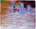 Duck%20in%20the%20water (thumbnail)