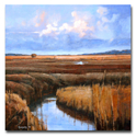 Cley%20Marshes (thumbnail)