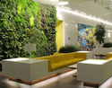 gallery5 (thumbnail)