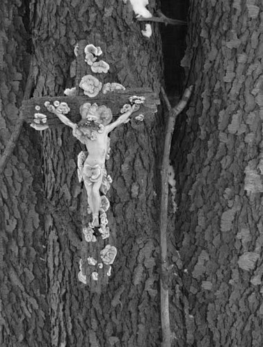 Good Friday 2007, detail