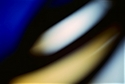 Photography--Color-AbstractAutumn Branches