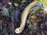  Nikkinne - "Musk Ox Textures" - Print