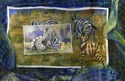 Safari of Lost Photos - Zebras