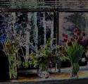 night%20window (thumbnail)