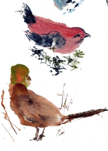 Watercolors