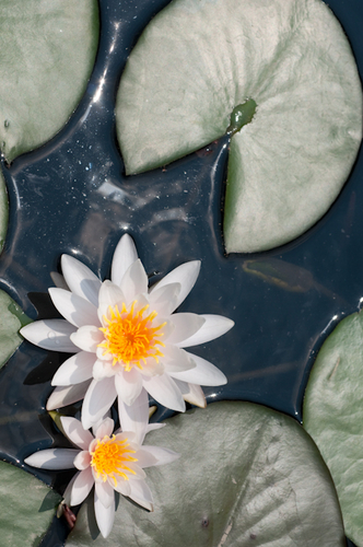 Photography-1025