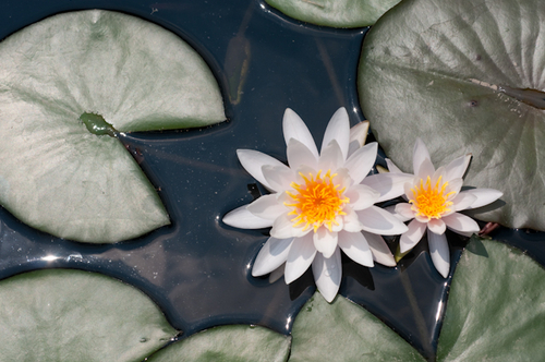 Photography-1028