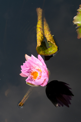 Photography-1040