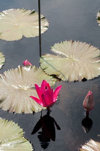 Photography-1057
