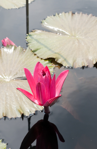 Photography-1058