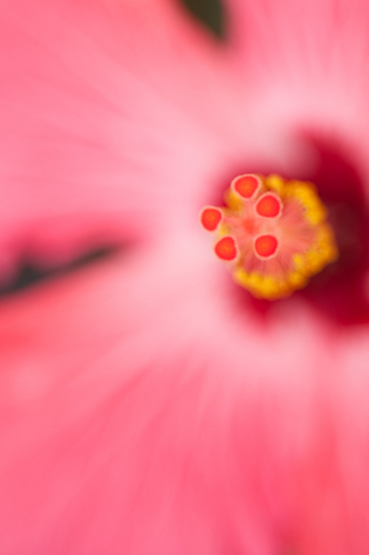 Photography-1080